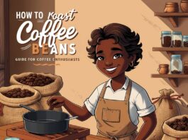 How to Roast Coffee Beans: Guide for Coffee Enthusiasts