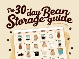 The 30-Day Bean Storage Guide