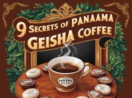 9 Extraordinary Secrets of Panama Geisha Coffee