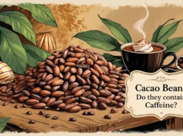 An artistic illustration showing a pile of cacao beans alongside cacao leaves, shells, and a steaming cup of hot chocolate with whipped cream on top. A decorative label asks 'Cacao Beans: Do they contain Caffeine?